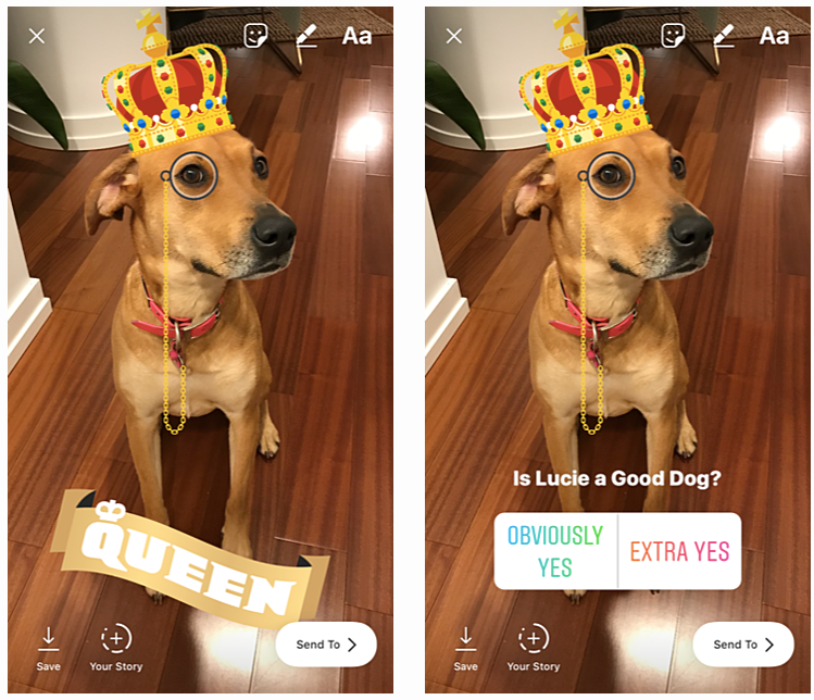 How to Use Instagram Stories LIke A Real Influencer | Umami Marketing